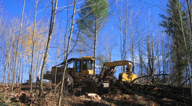 A yellow digger is at work in a forest